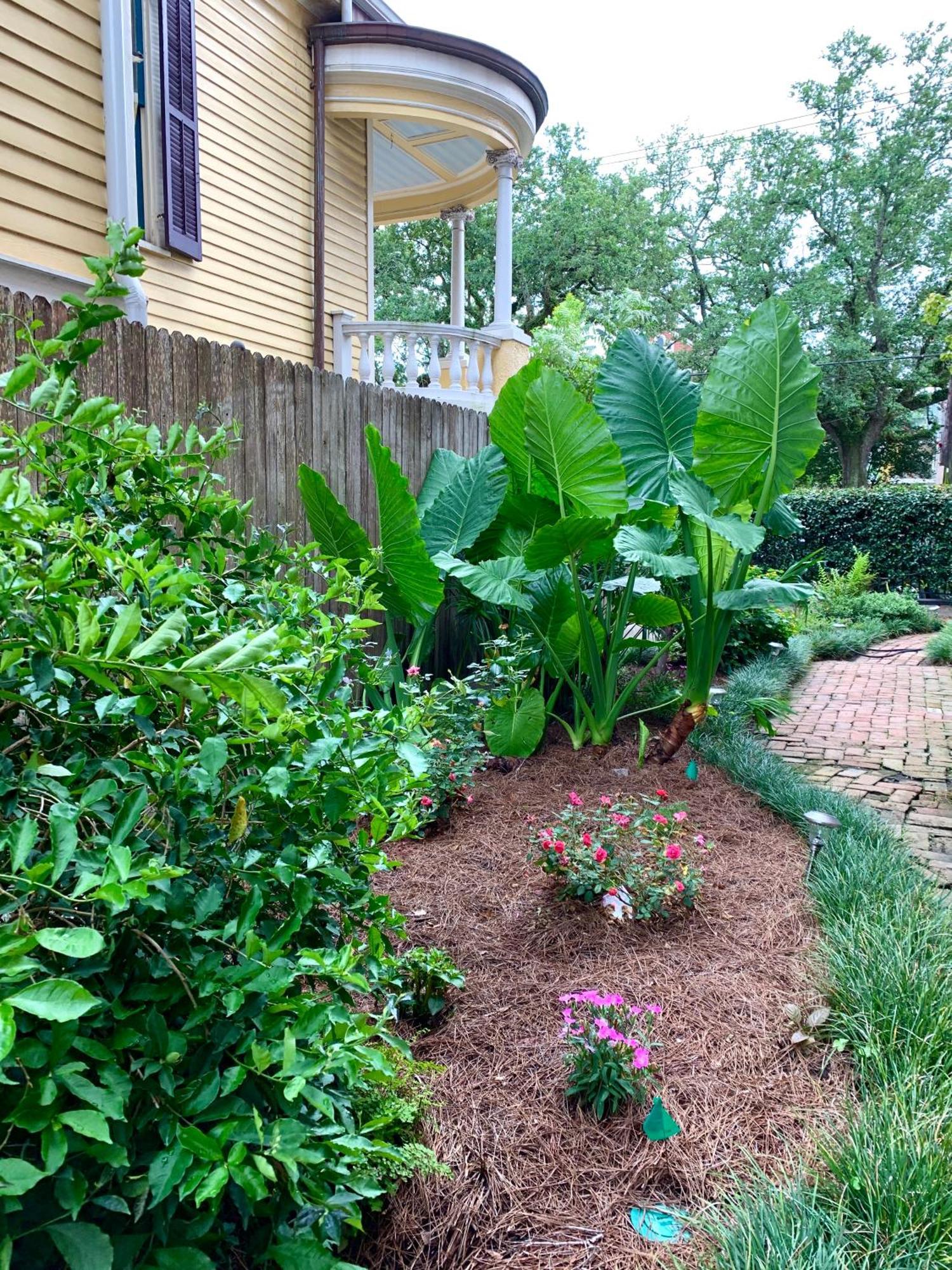 French Quarter Lanaux Mansion Bed And Breakfast นิวออร์ลีนส์ ห้อง รูปภาพ